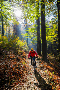 骑自行车，在秋天的树林中的小周期路上山关心他人女人。山地自行车在秋天的风景林。女子自行车山地车流动上山的小道
