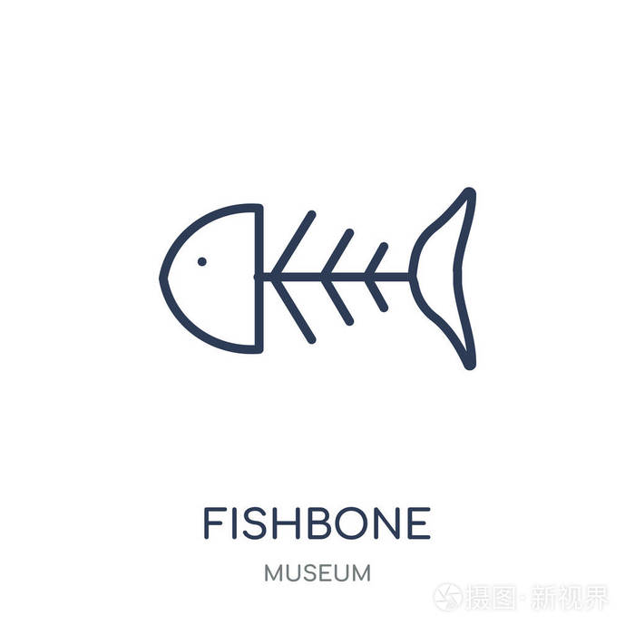 从博物馆收藏的鱼骨线性符号设计.简单的大纲元素向量例证在白色背景