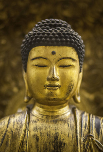 泰国金佛雕像衣冠楚楚。特写
