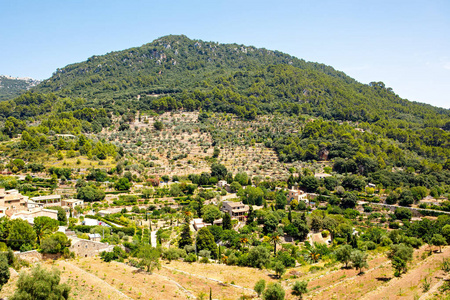 城市 Valldemossa 与传统花卉装饰, 著名的老地中海村马略卡岛。西班牙, 意大利, 马略卡岛