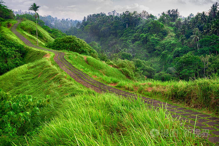 荒无人烟的小道