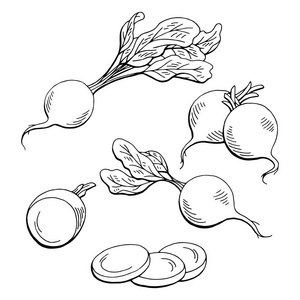 素描切曲线萝卜图形蔬菜黑白色孤立的素描图矢量照片