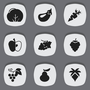 9 可编辑甜点图标集。包括根菜 棕榈 花椰菜等符号。可用于 Web 移动 Ui 和数据图表设计