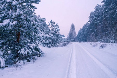 农村冬天下雪景观图片