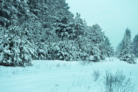 农村冬天下雪景观图片