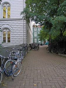 自行车停放在城市的街道上