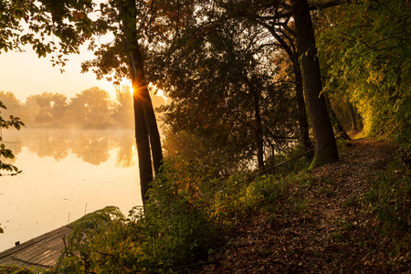 柔和暖光中的秋湖橙色抽象分形背景三维渲染插图红色分形发光图案.