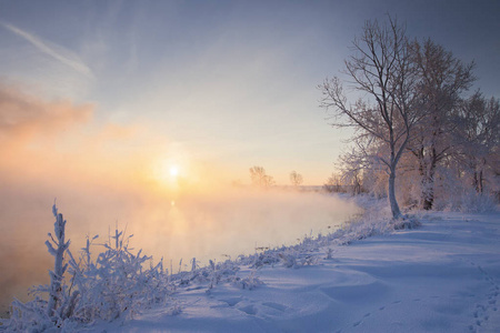 冬日的风景--在阳光明媚的清晨, 白雪皑皑的森林里.