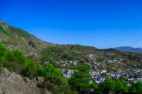 舍夫沙万景观与山树前景