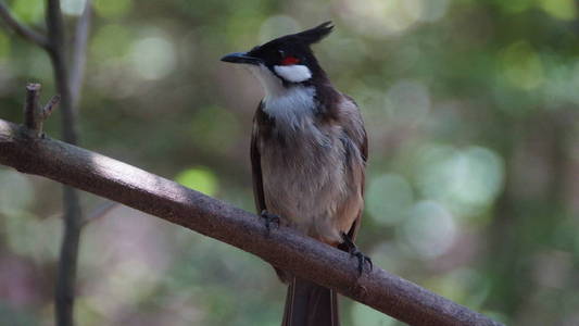 亚洲中南部地区图片