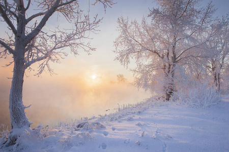 清晨雪景图片唯美图片图片