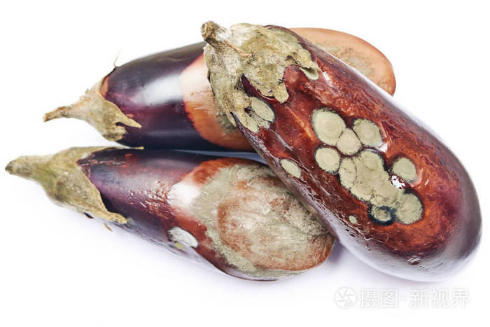 白色的烂茄子
