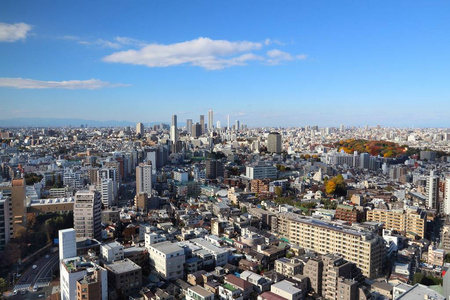 东京城市景观日本的城市景观。背景中的池袋区和前景中的文京