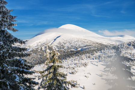 乌克兰戈弗拉山。美丽的冬季景观在山上。山麓堆积如山的山被雪和绿冷杉覆盖