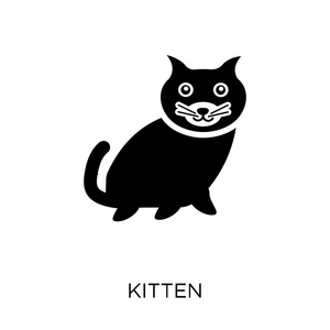 小猫图标。小猫符号设计从动物收藏。简单的元素向量例证在白色背景