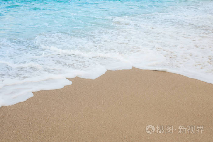 海滩和热带海