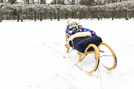 在森林里的雪上雪橇的婴儿