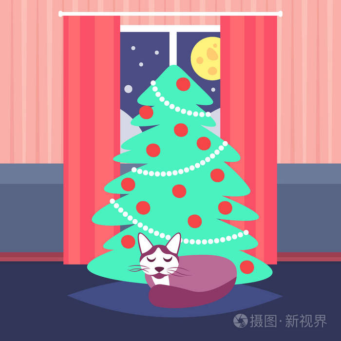 夜客厅装饰快乐的圣诞节快乐新年松树睡猫家室内装饰寒假概念平