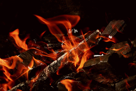 壁炉中的火特写镜头, 在热火中燃烧柴火
