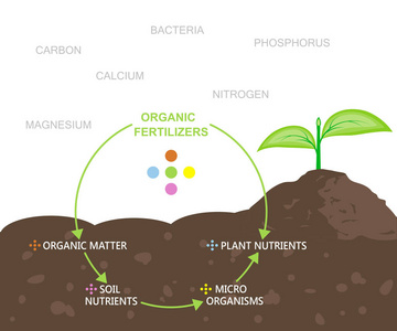 有机的肥料中的养分关系图