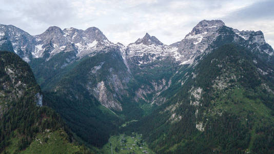 高山上有雪的山脉鸟图