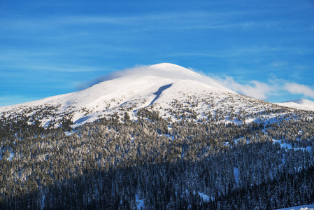 乌克兰戈弗拉山。美丽的冬季景观在山上。山麓堆积如山的山被雪和绿冷杉覆盖