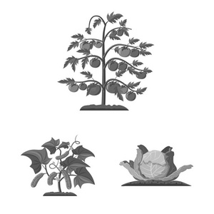 温室和植物标志的孤立对象。一套温室和花园股票符号的网站
