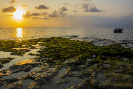 美丽的巴厘岛海滩风景照片