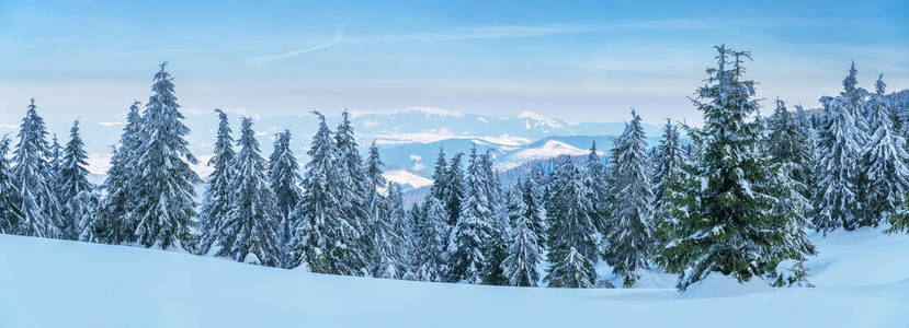 美丽的冬季景观在山上。山麓堆积如山的山被雪和绿冷杉覆盖