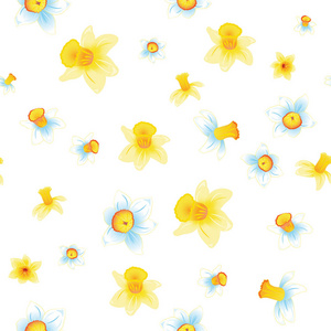 黄色和白色的水仙花不同尺寸，白色背景上的花的图案。白色和黄色的水仙花。矢量图