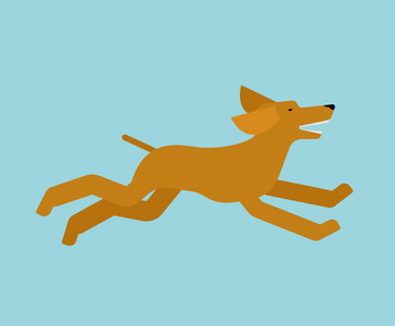 奔跑的宠物图片