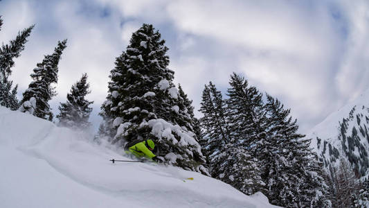 滑雪 freerider 翻录脊柱树