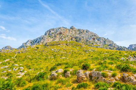 自然地中海公园的山峰