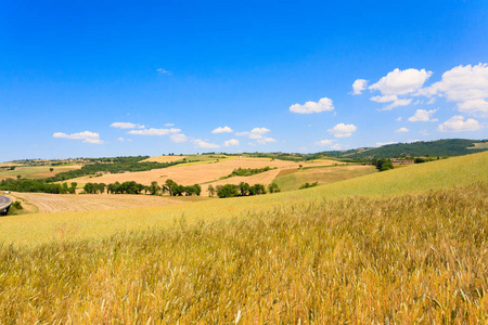 托斯卡纳丘陵地貌，意大利。农村的意大利全景