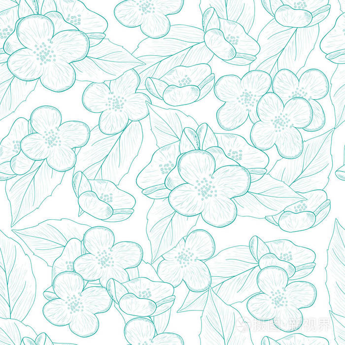 茉莉花.花.背景, 壁纸, 无缝.素描.单色插画-正版商用图片0tx16t-摄图