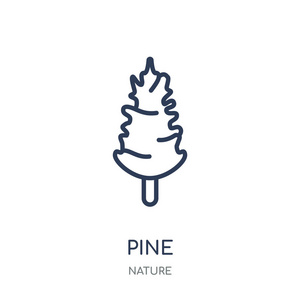 松树图标。从自然收藏的松树线性符号设计。简单的大纲元素向量例证在白色背景