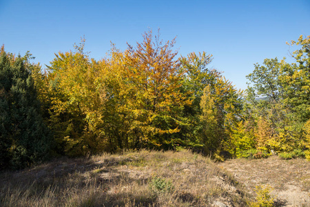 令人惊叹的秋天景观鲁恩山北部的弗拉希纳山, kyustendil 地区, 保加利亚