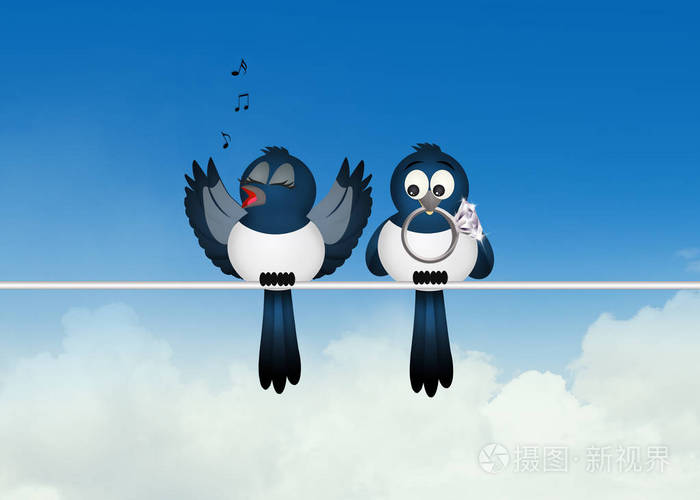 两个喜鹊的插图