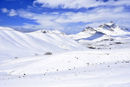 吐安巴尔，Fereydunshahr 滑雪胜地，伊斯法罕，伊朗在春天的时间