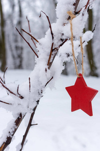 冬天森林里下雪的圣诞树上的红木星。圣诞节和新年快乐的概念。冬季假期符号。雪中冰冷的森林。圣诞装饰和庆典。雪中的红星