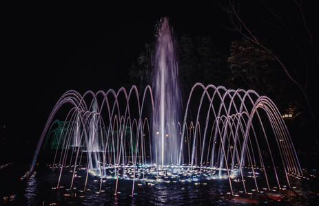 彩色的夜喷泉