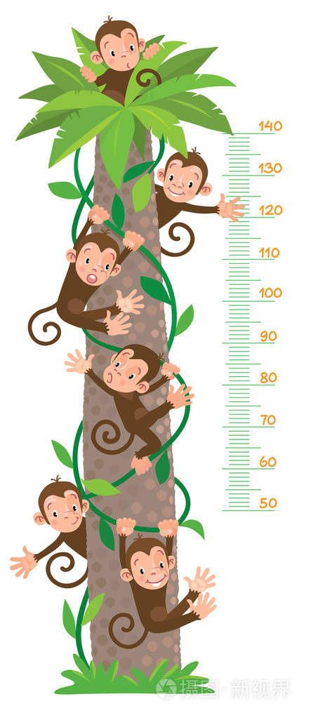 米墙体大的棕榈树和有趣的猴子