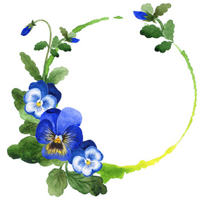蓝色中提琴框架。花植物学花。绿叶。叶植物植物园花卉叶。框架边框装饰