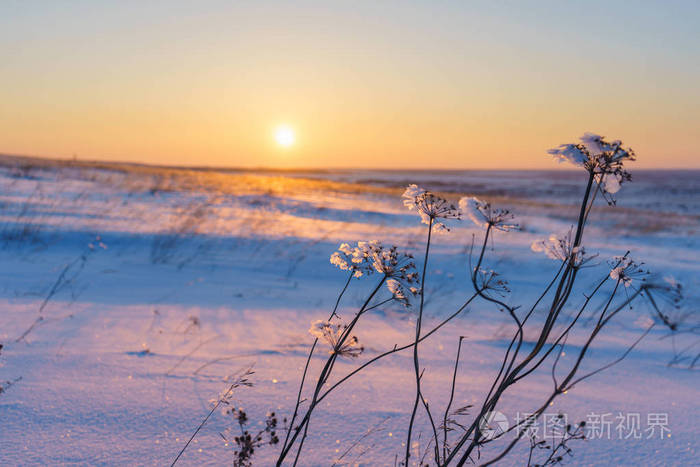 美丽的自然风光.选择性对焦