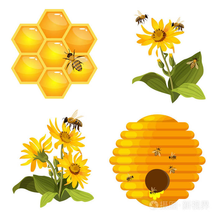 对蜂窝,蜂窝巢,黄色字段上的蜜蜂蜂花集隔离插画-正版商用图片0txmqp