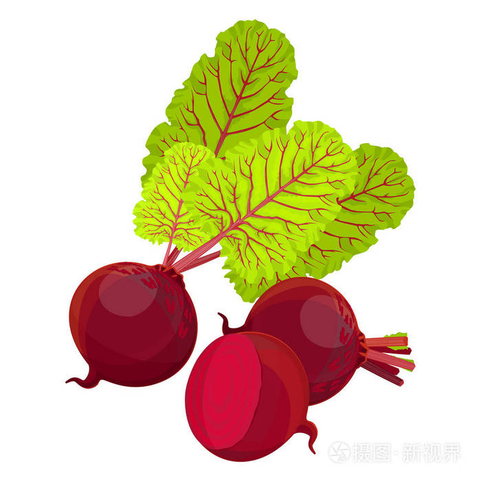 白色背景上的分离点紫色甜菜根整个一半和切片