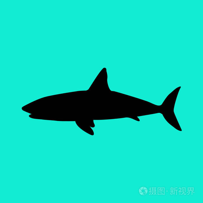 鲨鱼平面图标