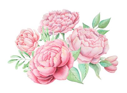 手绘水彩迷人组合的花和叶子,白色背景上孤立照片