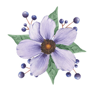 水彩手绘清新花卉组合图片