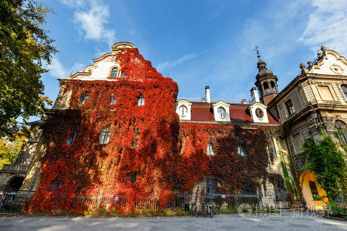 莫斯纳城堡历史悠久的宫殿位于莫斯纳村上西里西亚波兰